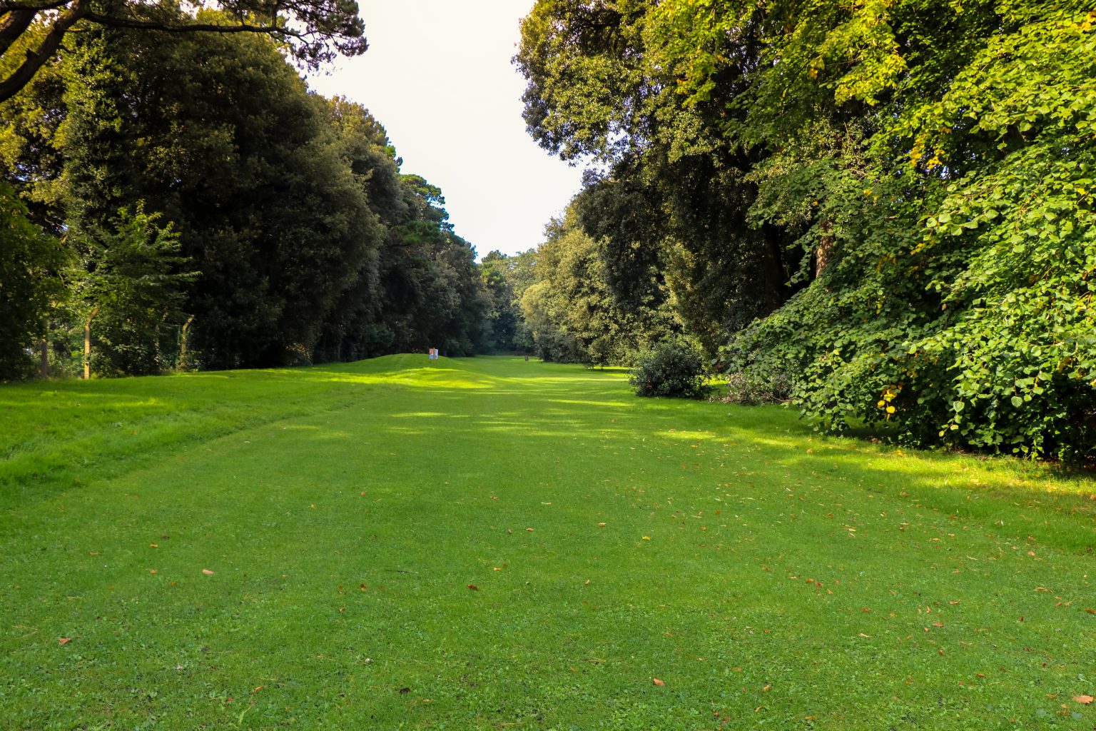 Home - St Annes Park